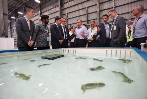 陆兆福:隆机场可成区域货运枢纽