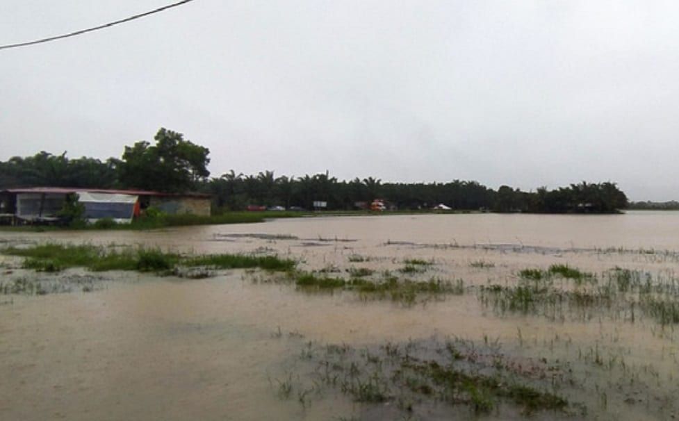 丹州水灾破坏2.6万公顷稻田 稻农刚播种未收割·损失惨重
