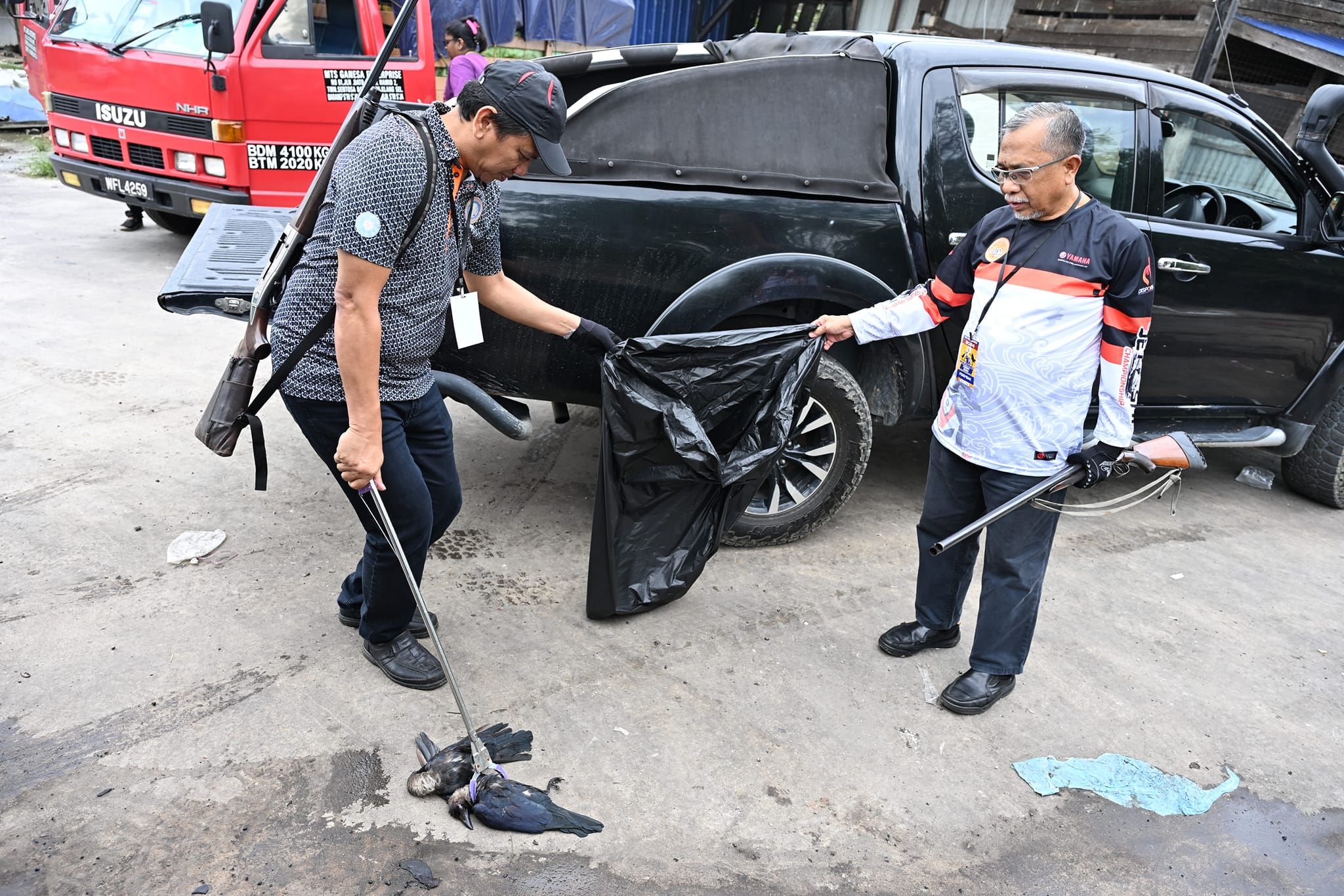 瓜冷市会周六射杀乌鸦  民众受促警惕和回避