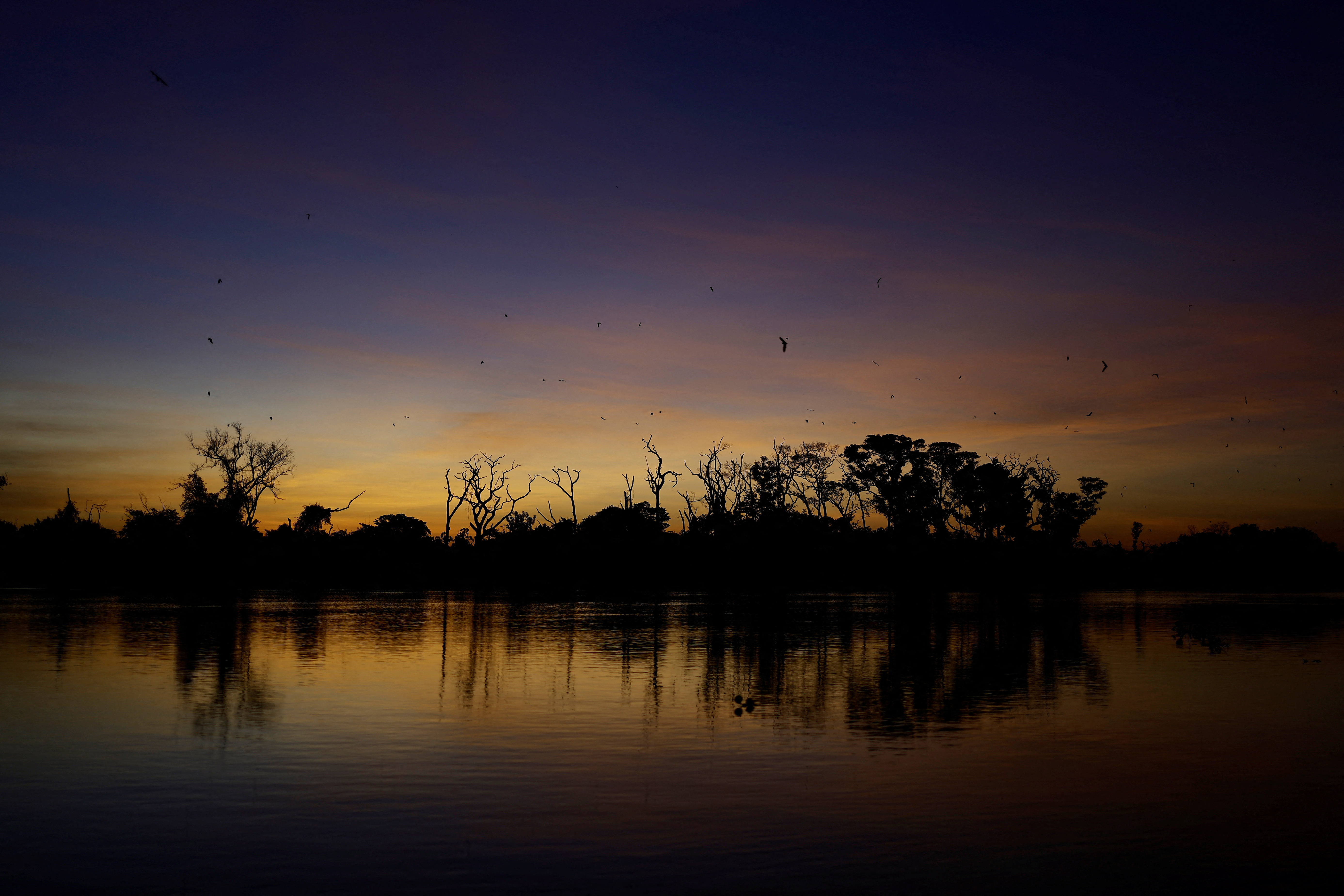 Methane from tropical wetlands is surging, threatening climate plans
