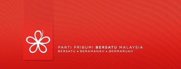 土团党:阿末费沙当选副主席 拉菲克寻求蝉联失败