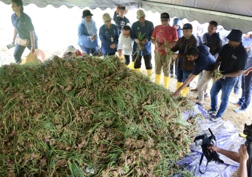 SFV catat rekod 2,396 pengunjung sehari sempena cuti Hari Malaysia