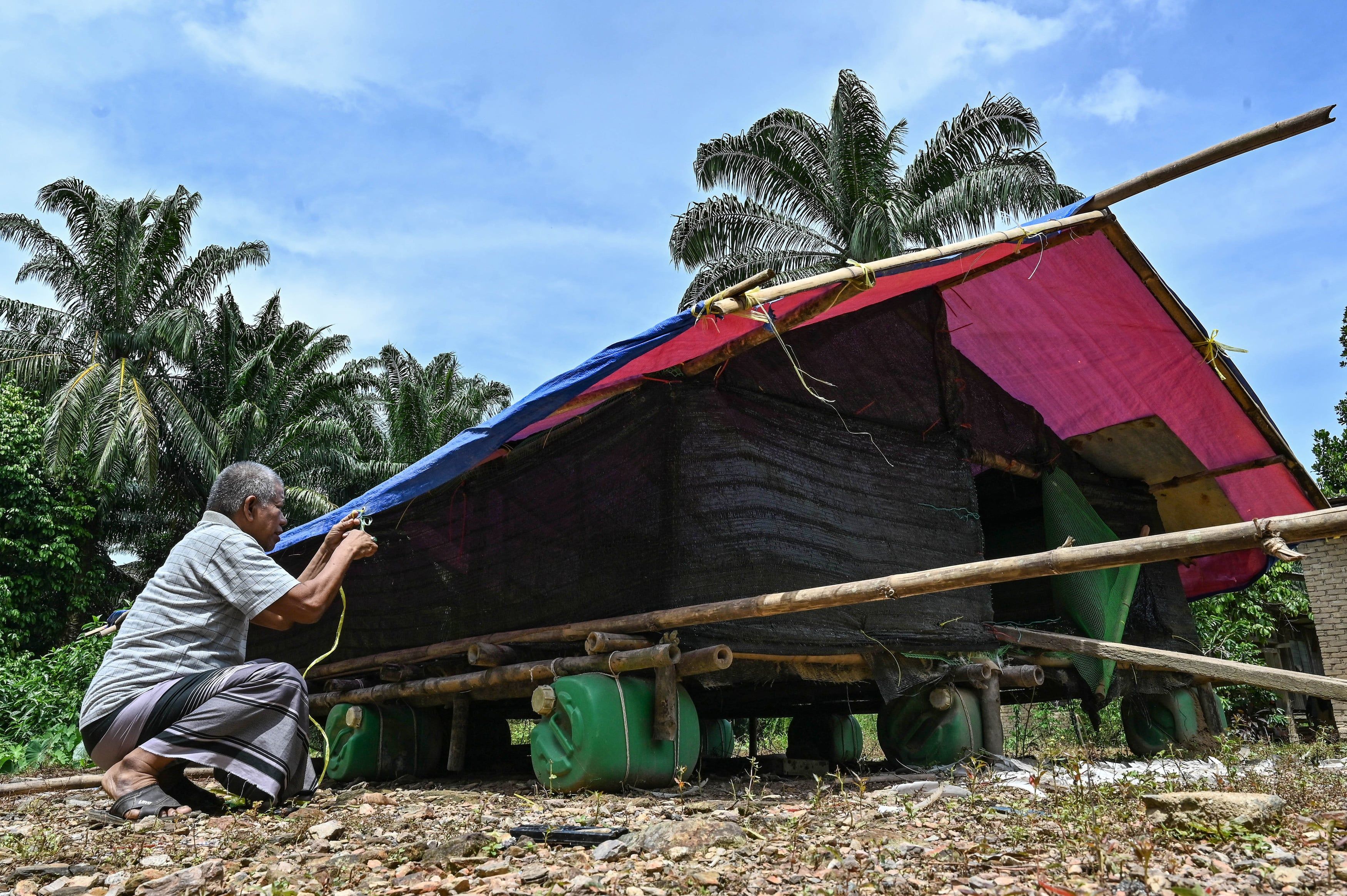 Elak ternakan dihanyut banjir, warga emas bina reban rakit