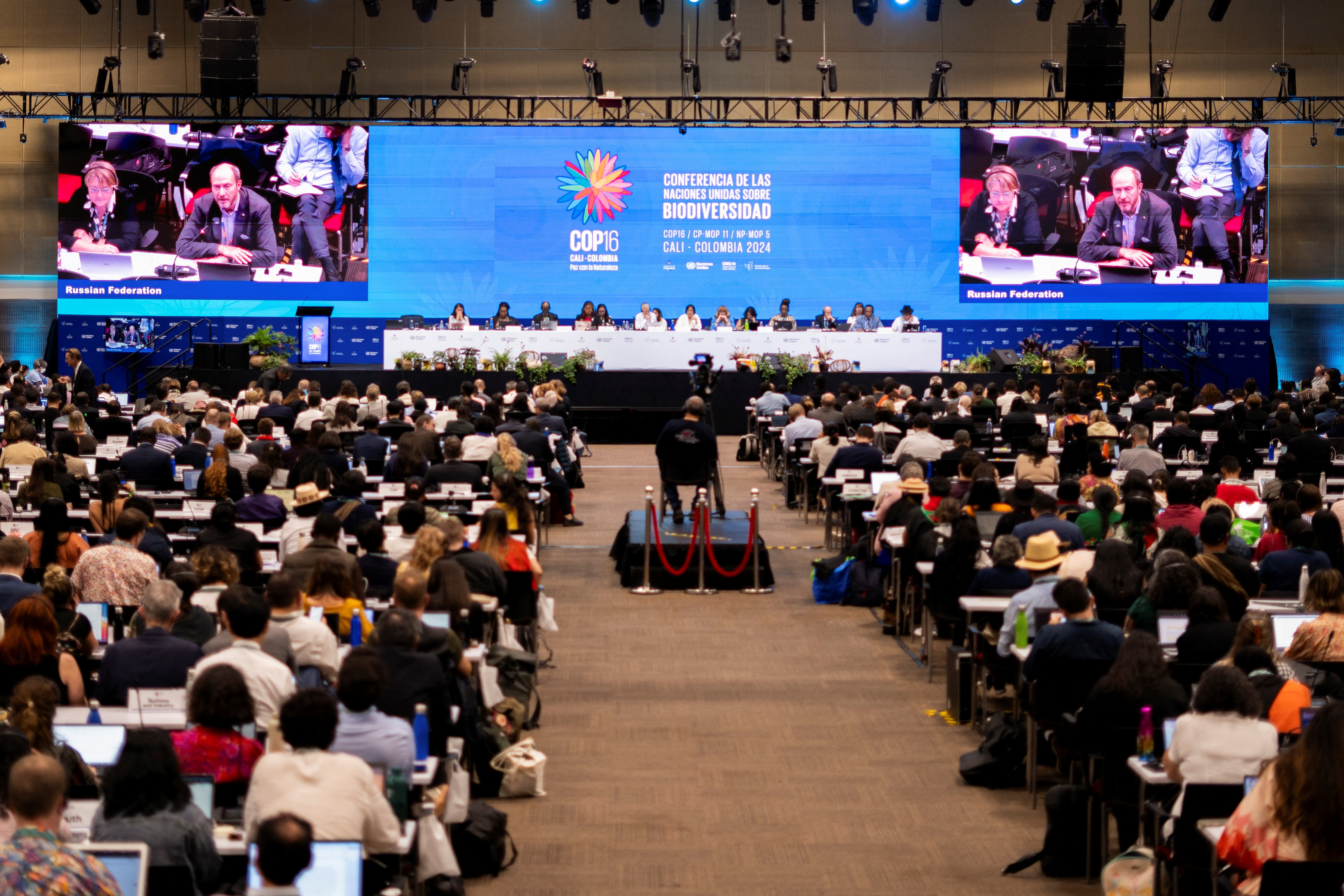 Public funding for nature conservation stalls at COP16, eyes on private investment