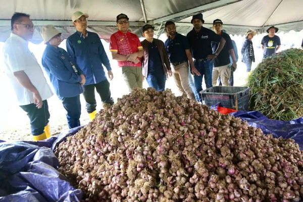 雪州鉴200英亩荒废地 用以发展农业项目
