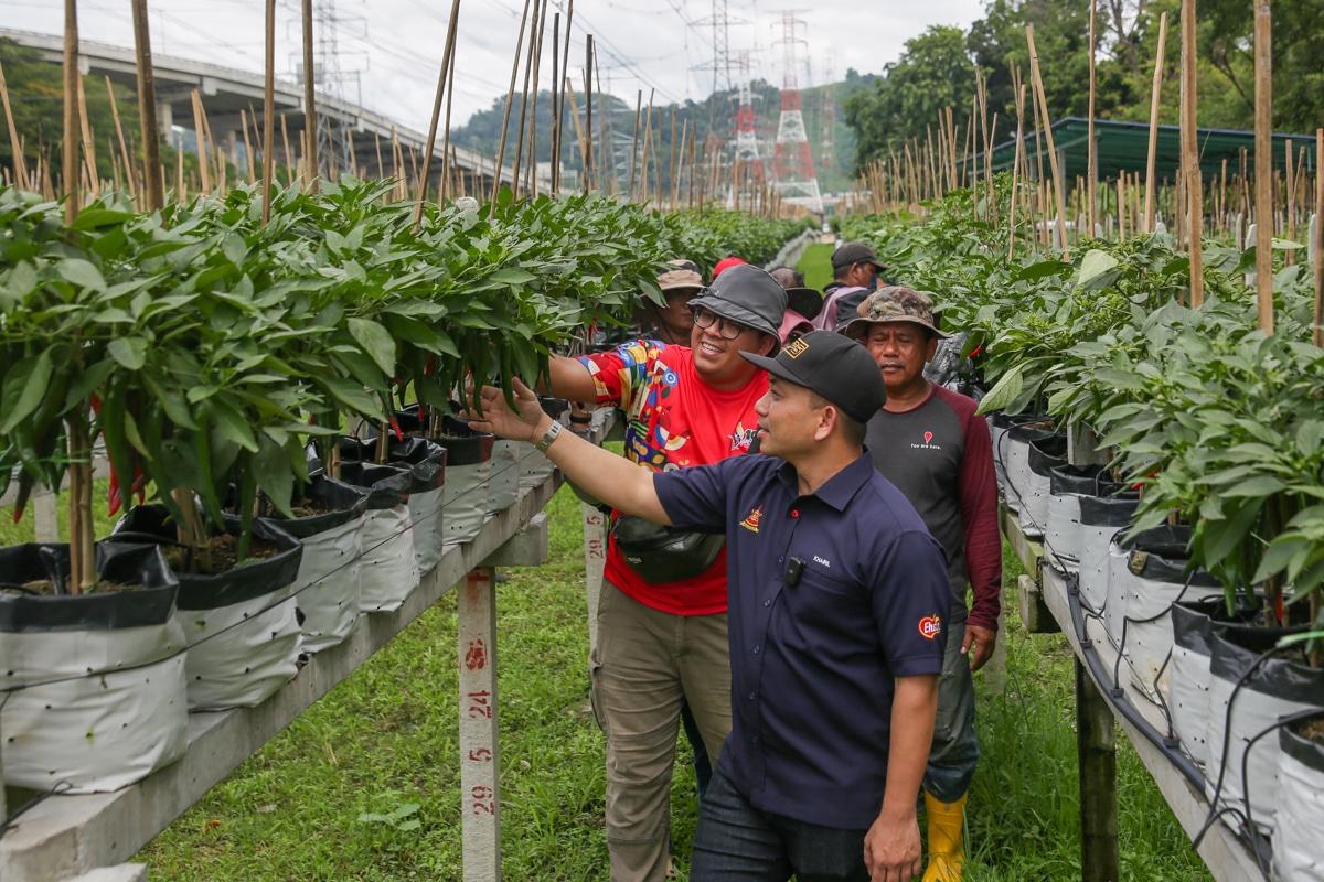 PKPS kenal pasti 60 ekar tanah projek pertanian bandar