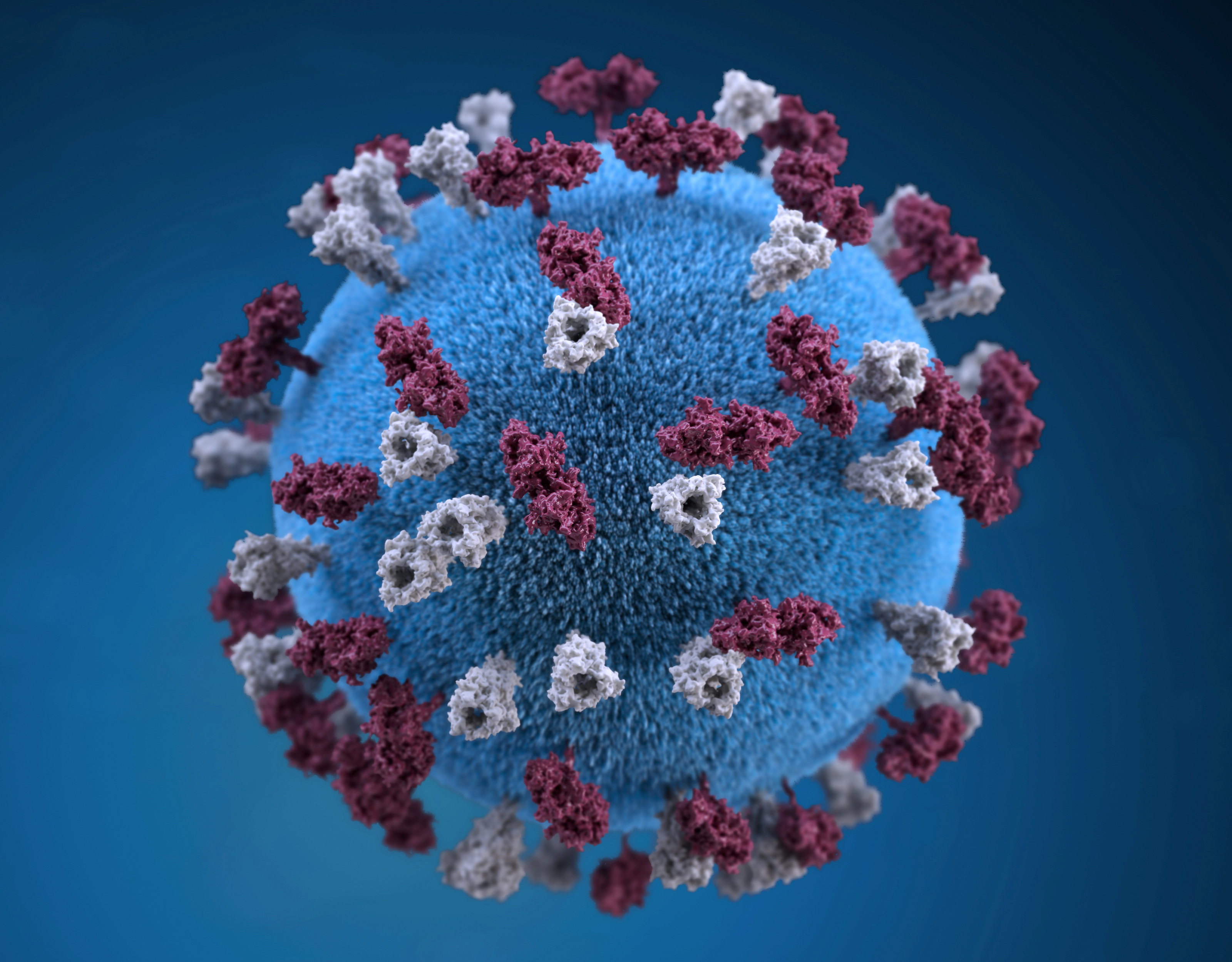 WHO issues warning as measles cases surge globally