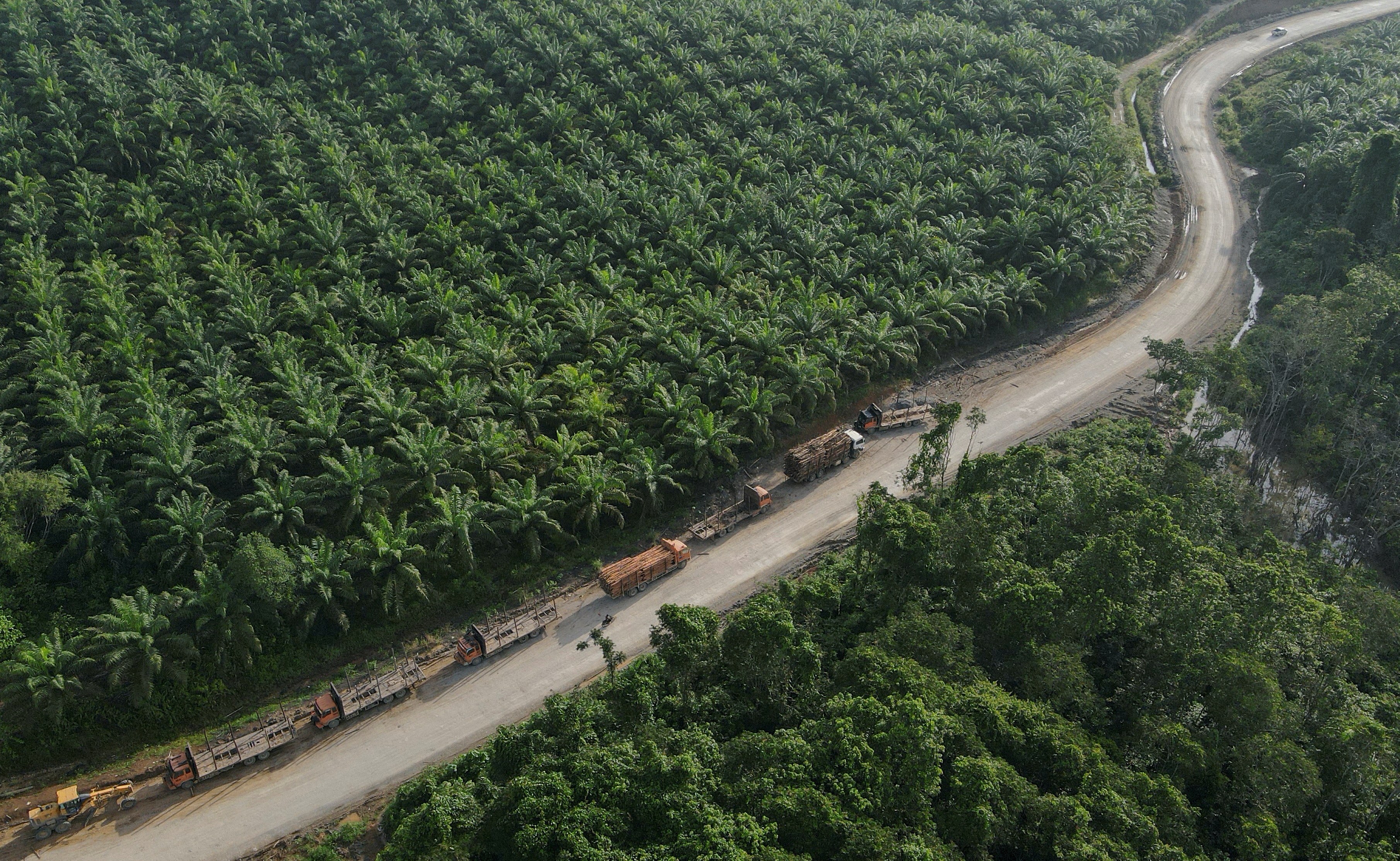 Wilmar Group hands over RM3 bln in Indonesia palm oil graft case