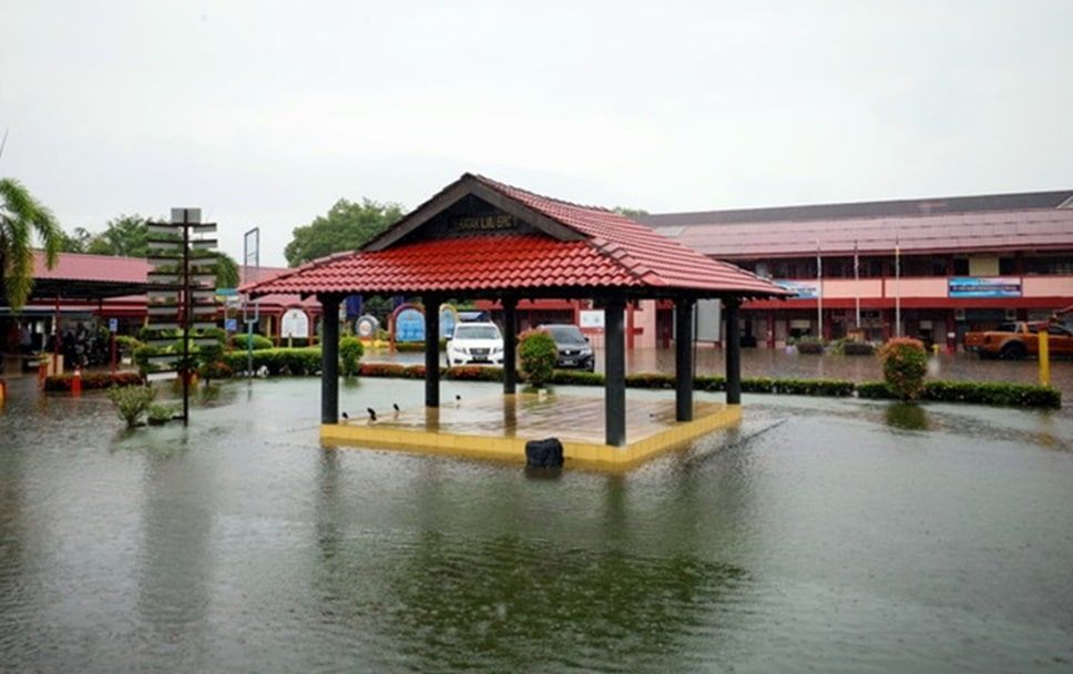 【雪州议会】效仿中央解决病态防洪工程 修改条例管控牛只游荡问题