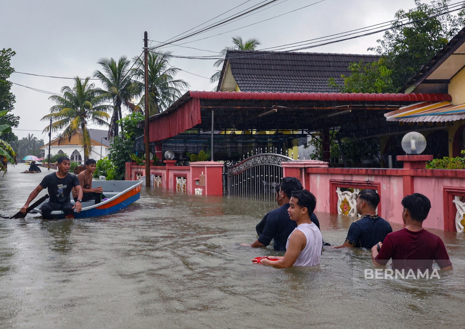 Lebih 26,000 hektar tanaman padi ditenggelami banjir di Kelantan