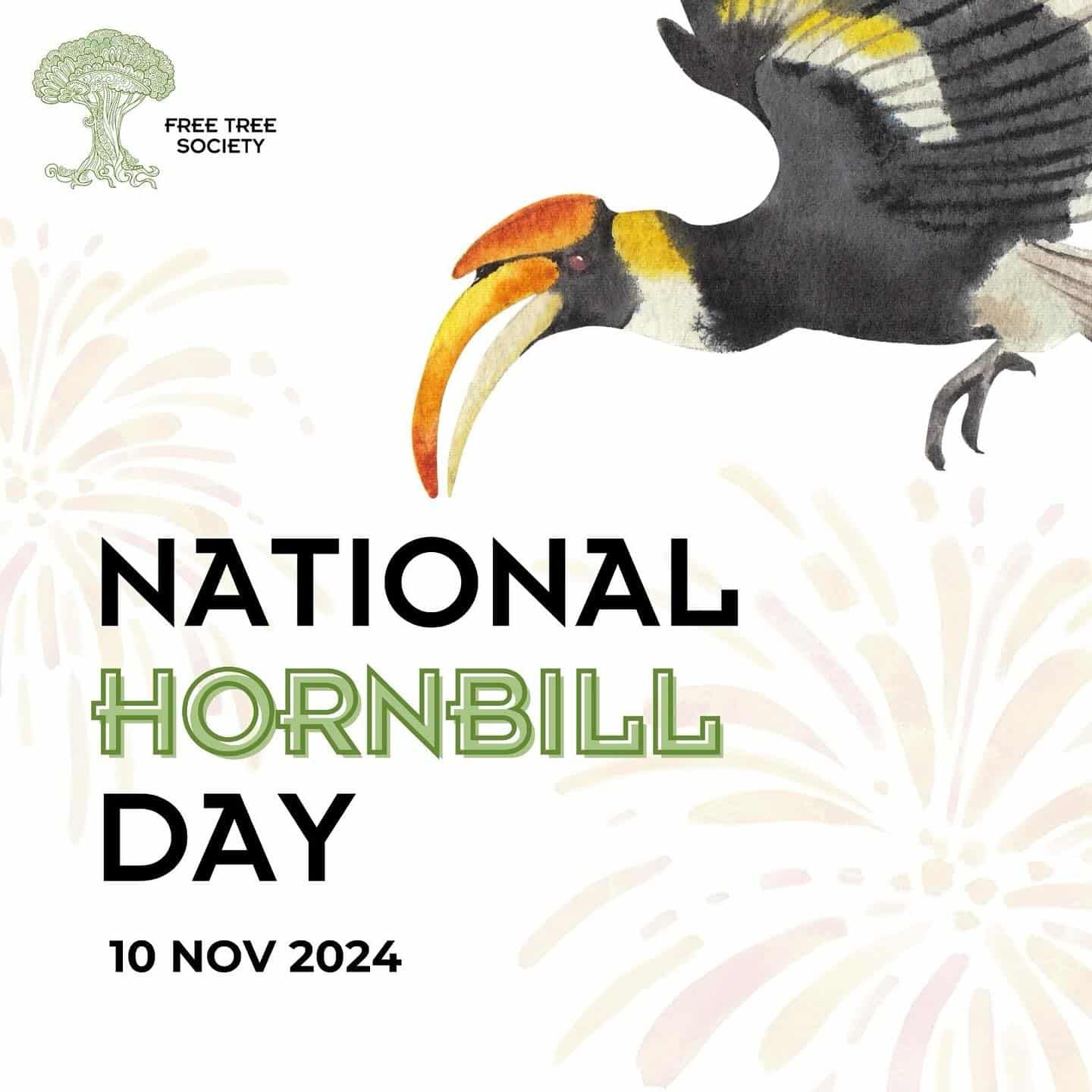 大马迎首届国家犀鸟日 加强独特鸟类保护工作