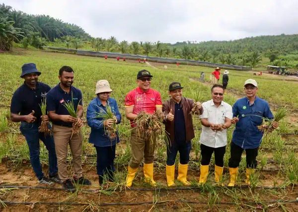 雪州多管齐下提高粮食安全性