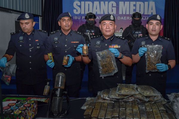 捣破贩毒集团起近50万大麻 警方捕商人夫妻等4人