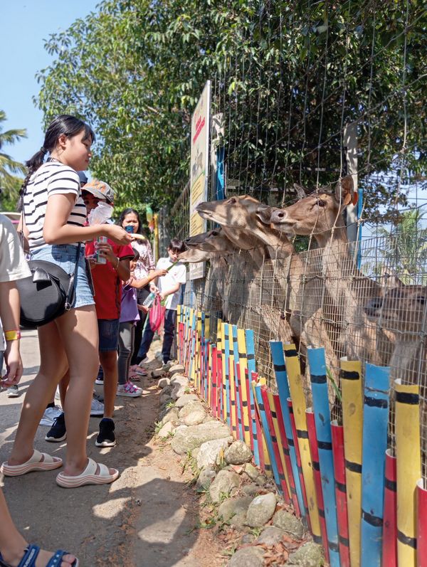 雪州水果谷调整营业时间 方便游客规划行程到访