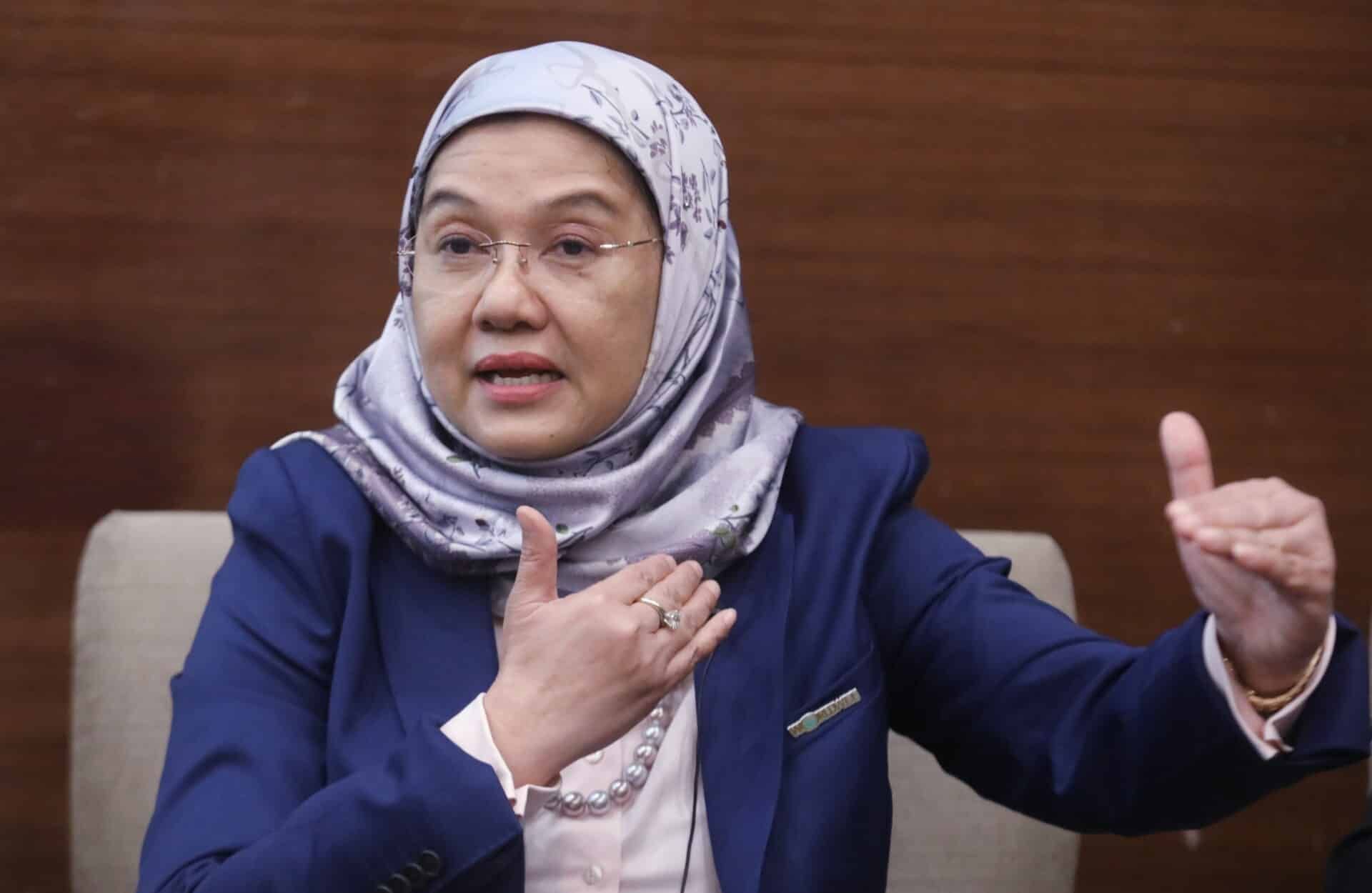 英达岛发电厂料明年启用  预计供电雪州11%用户