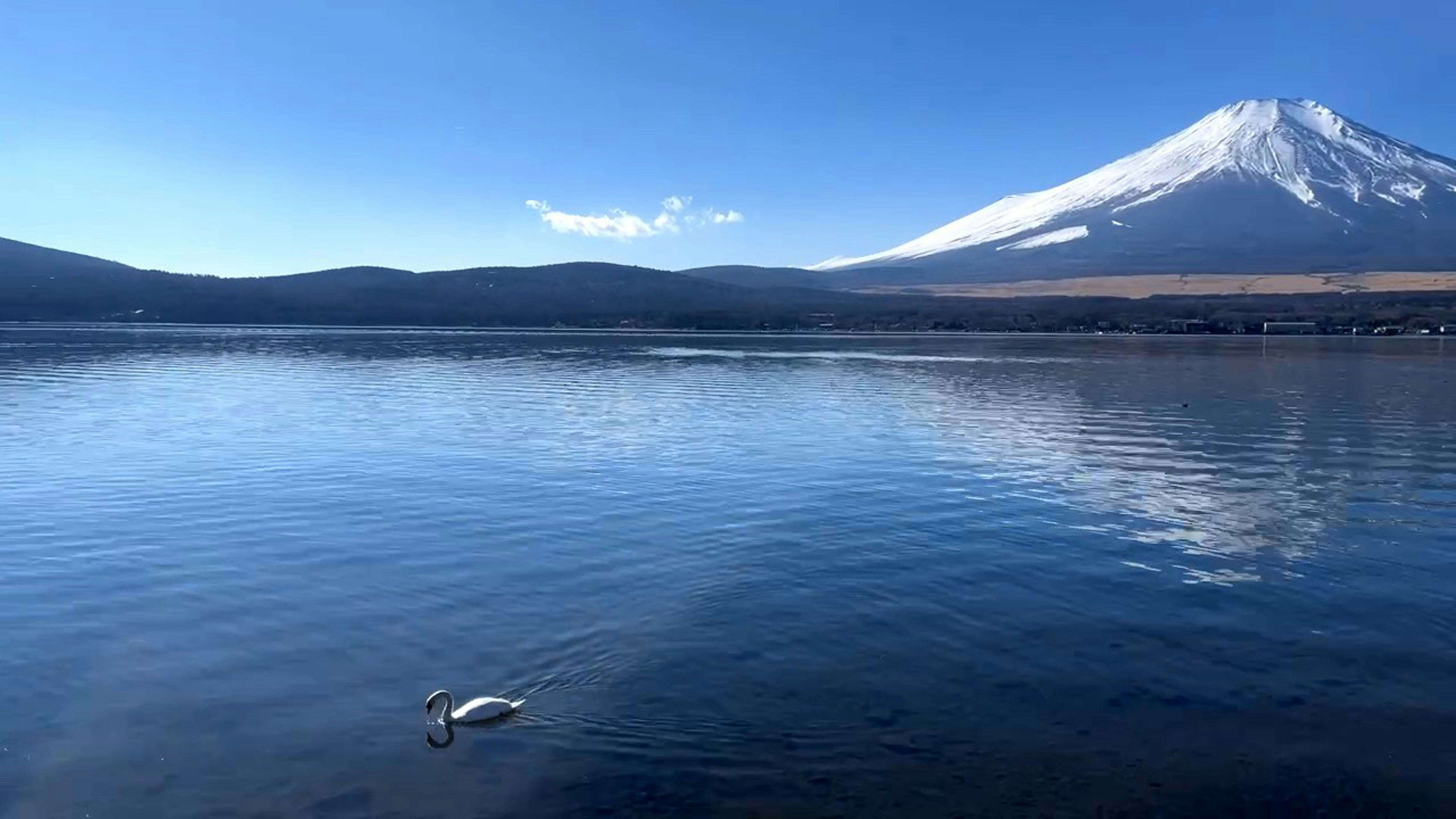 Mt Fuji access fees to be hiked as authorities address overcrowding