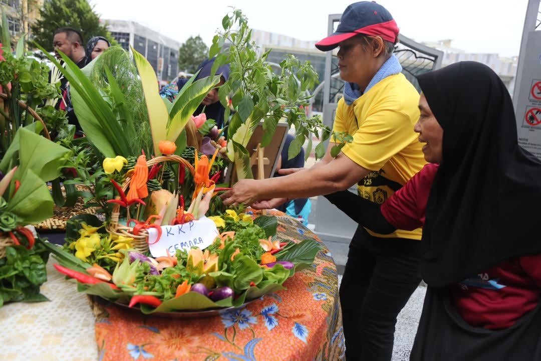 安邦再也27社区菜园获4万拨款 鼓励绿色城市种植乐