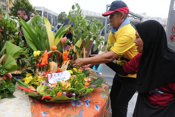 安邦再也27社区菜园获4万拨款 鼓励绿色城市种植乐
