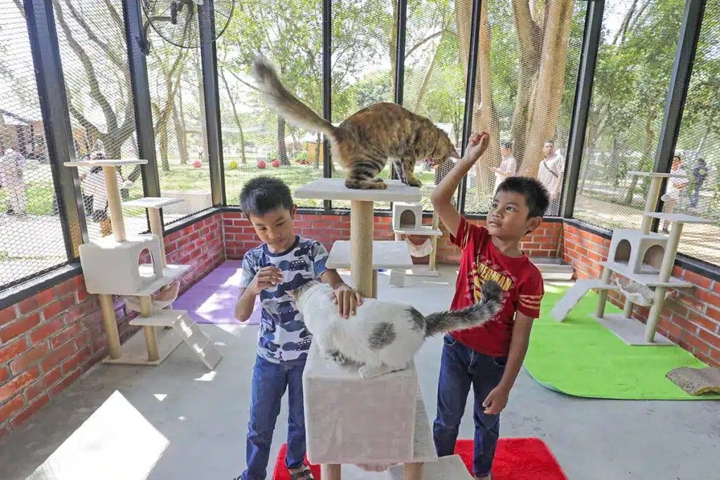 சைபர்ஜெயா பூனை பூங்கா தற்காலிகமாக பொதுமக்களுக்கு மூடப்படும்