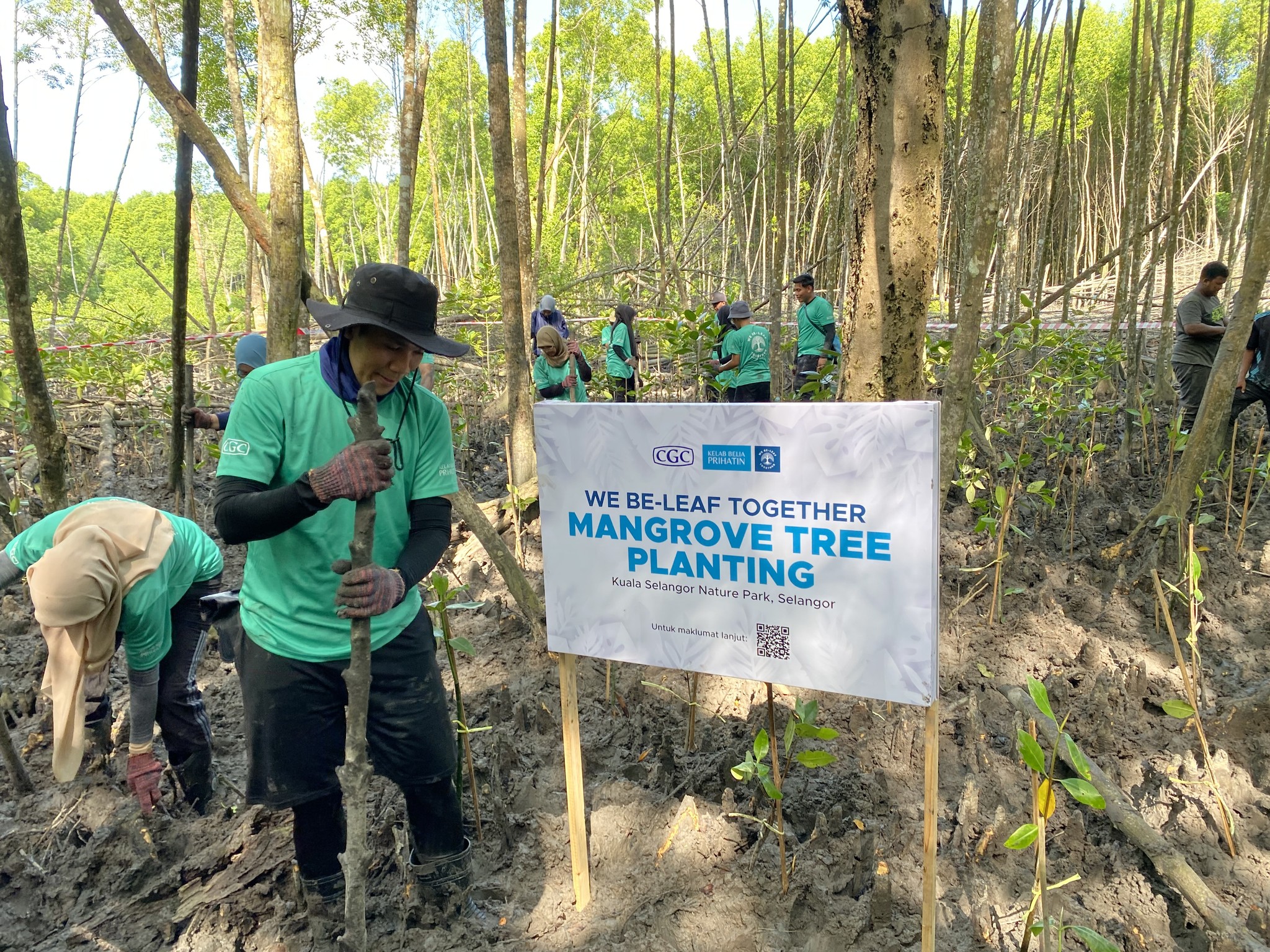 CGC plants 200 mangrove trees in Taman Alam, Kuala Selangor