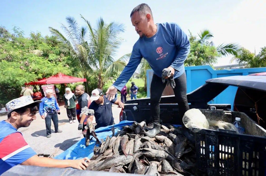 次轮活动获百人响应   已捕逾11吨入侵鱼种