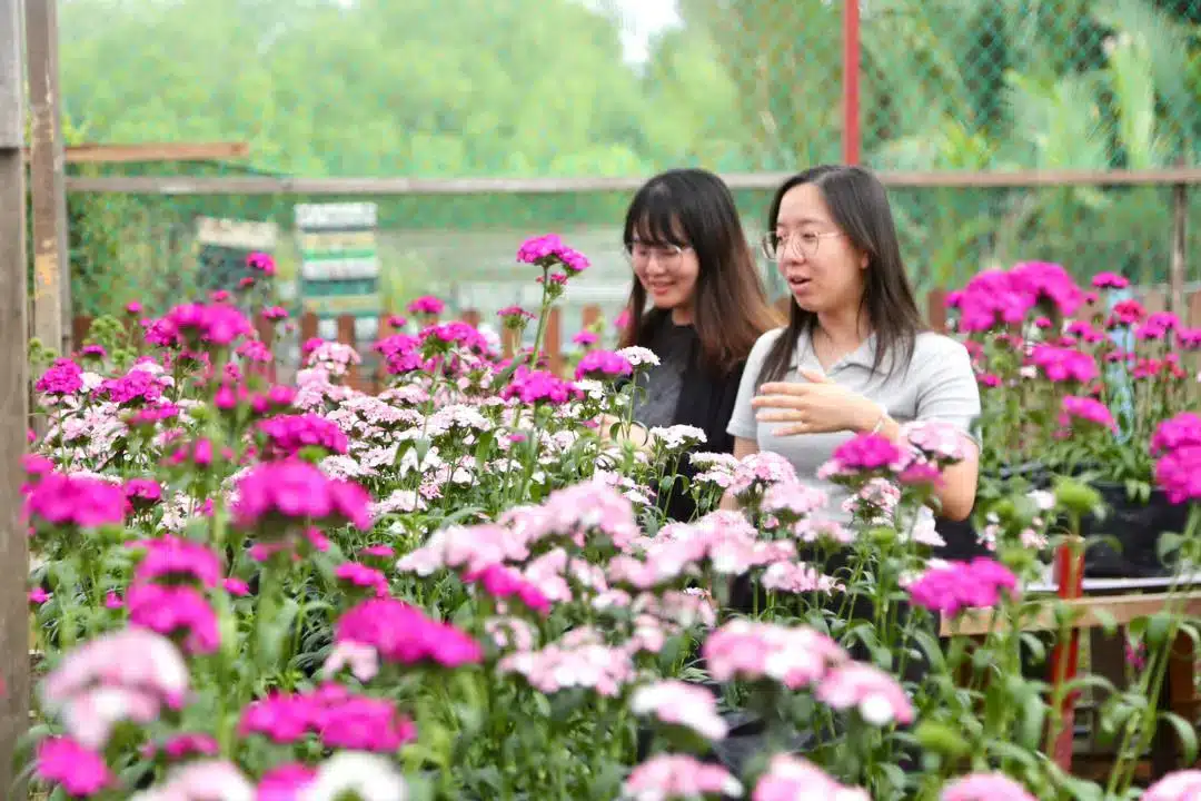 Selangor's Chinese arrivals up 16 pct in Q1, edu-tourism a new favourite