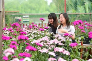 Selangor's Chinese arrivals up 16 pct in Q1, edu-tourism a new favourite