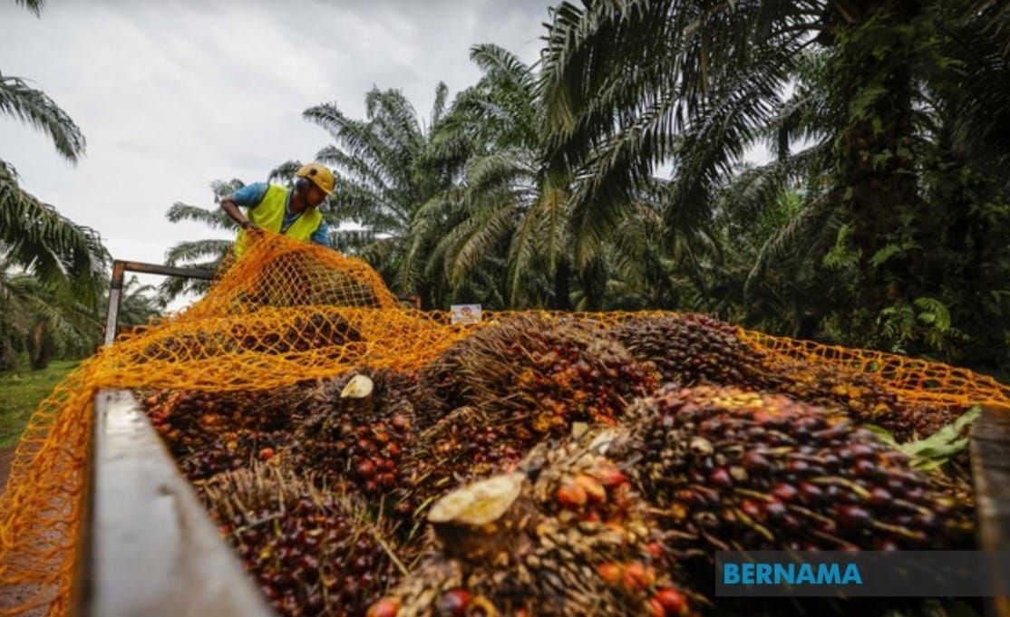 马泰签署橡胶合作备忘录    佐哈里：专注于可持续生产