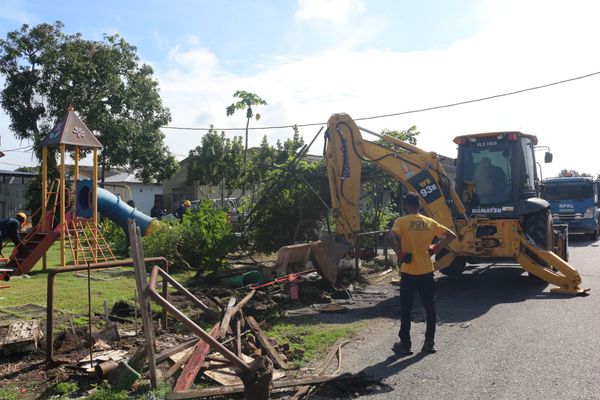 丹绒花园游乐场经济作物未妥善管理 瓜冷市议会提醒禁在公共地方种植