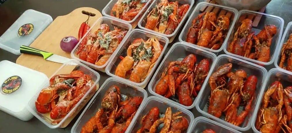 U-PLATS助龙虾养殖业者  打响知名度.每月销售额破万