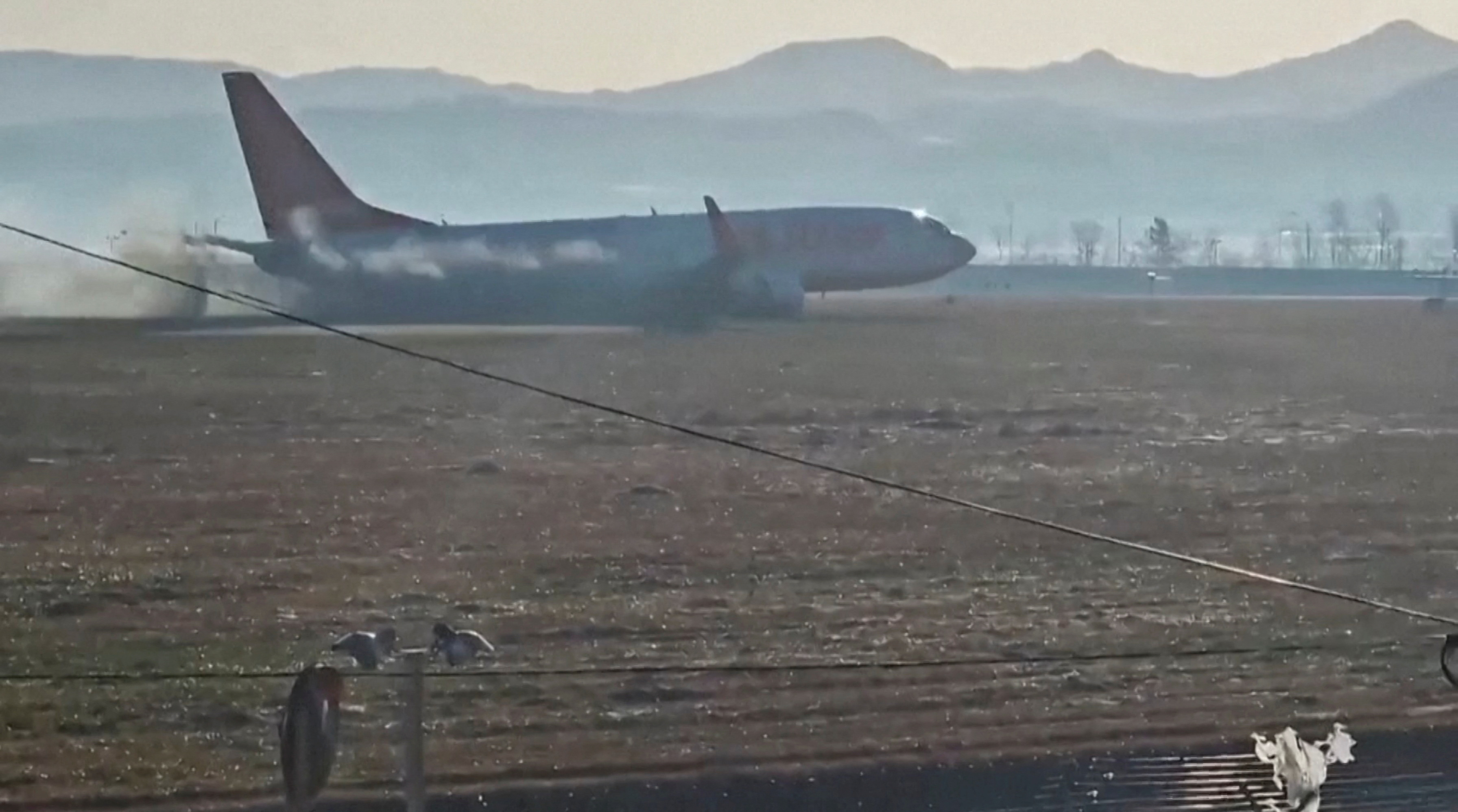 Experts say bird strike possible cause of deadly S. Korean plane crash