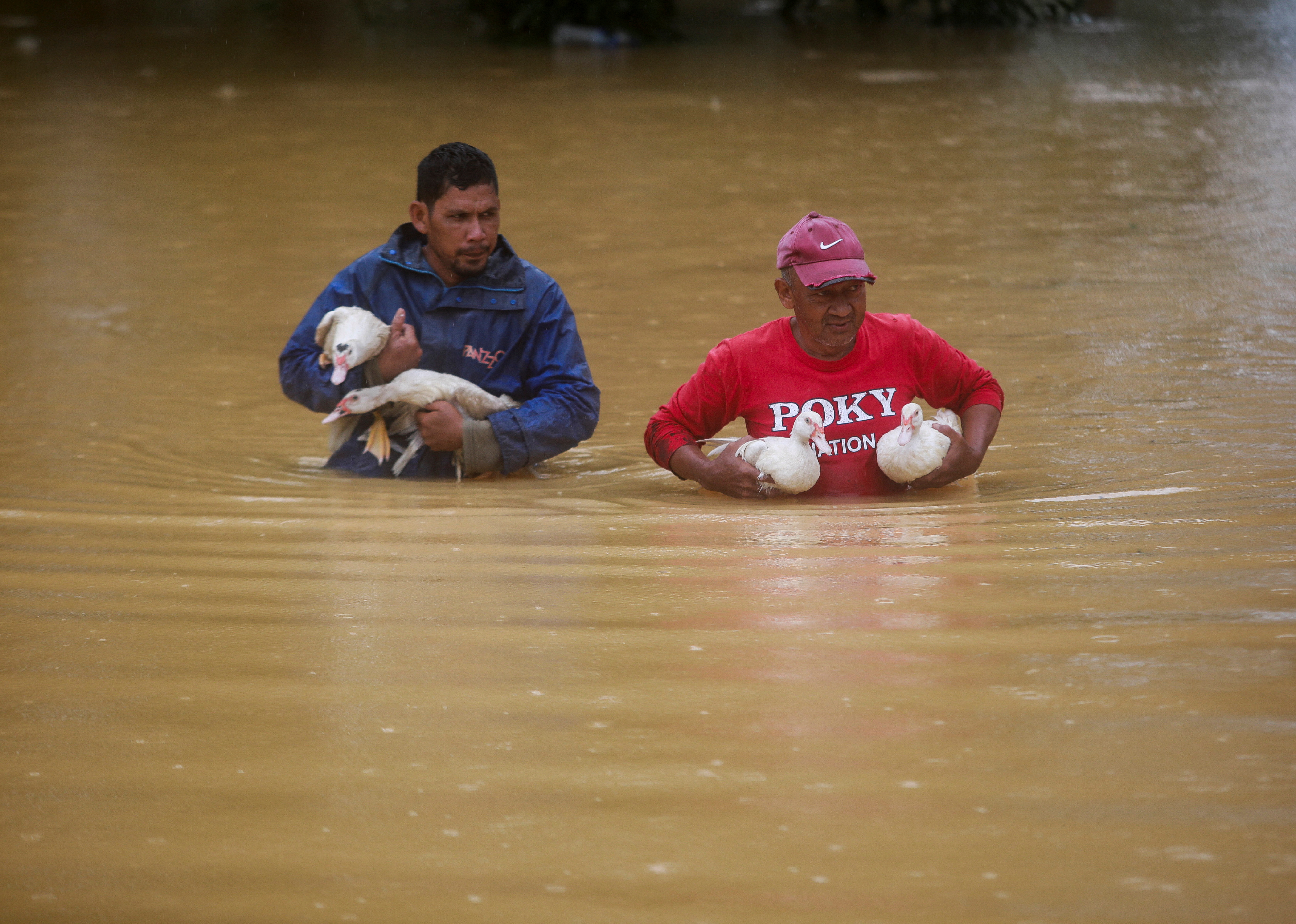 Flood victims decrease across eight states this morning
