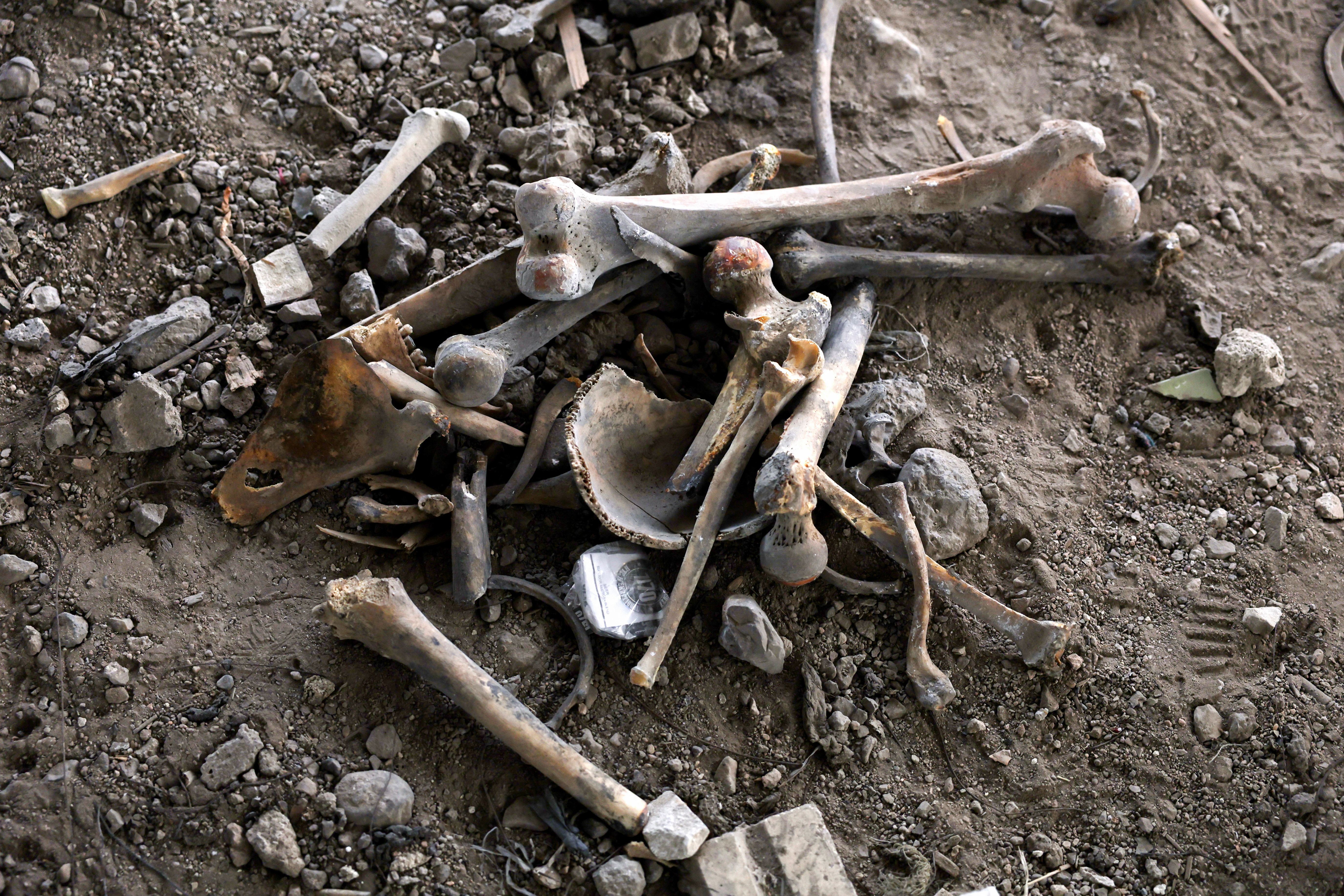At site of suspected mass killings, Syrians recall horrors, hope for answers