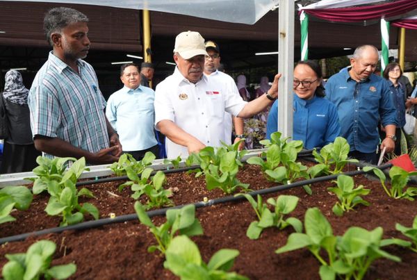 உள்ளூர் சந்தையில் காய்கறிகளின் விலை அடுத்த மார்ச் மாதத்தில் சீராகும்