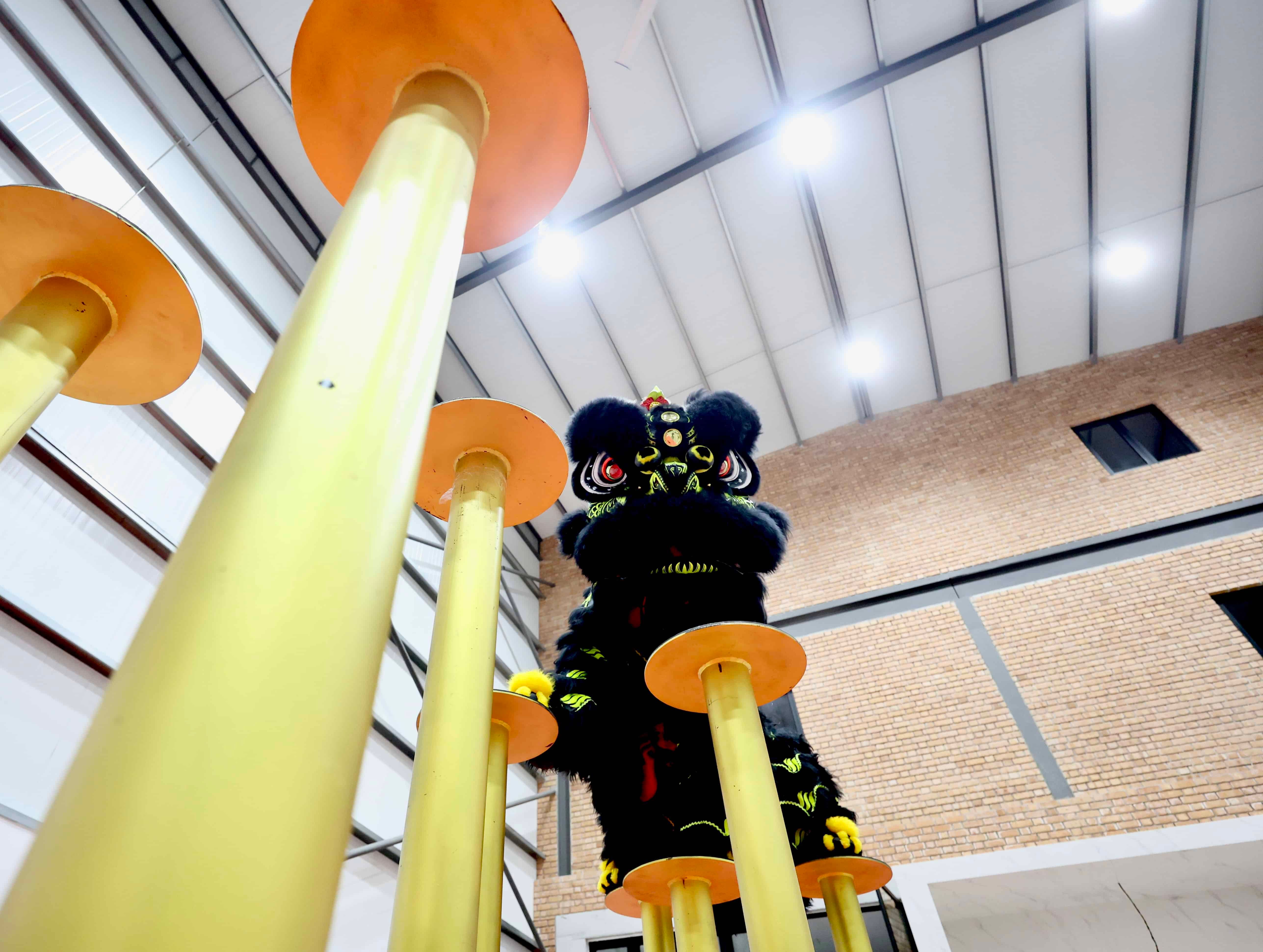 【灵蛇献瑞】凭汗水与热爱  新村男孩摘得大马狮王