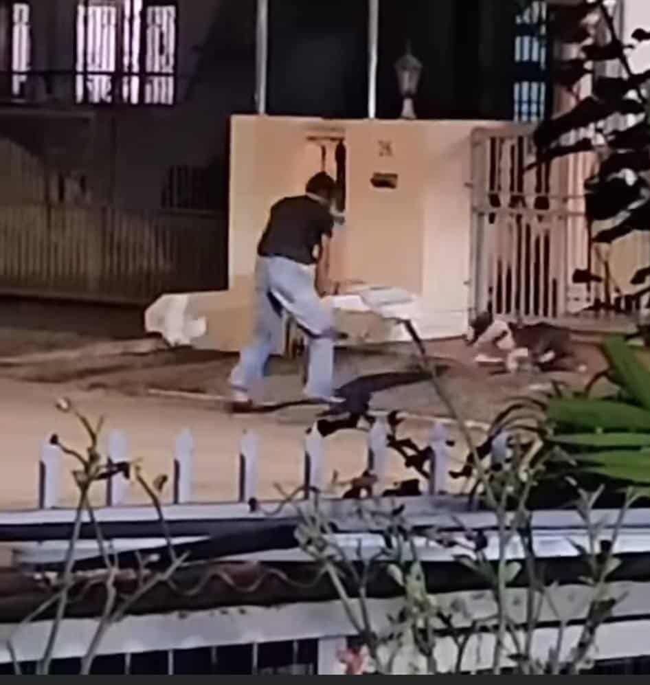 （视频）疑铁锤虐打宠物狗   警方逮捕前科男助查