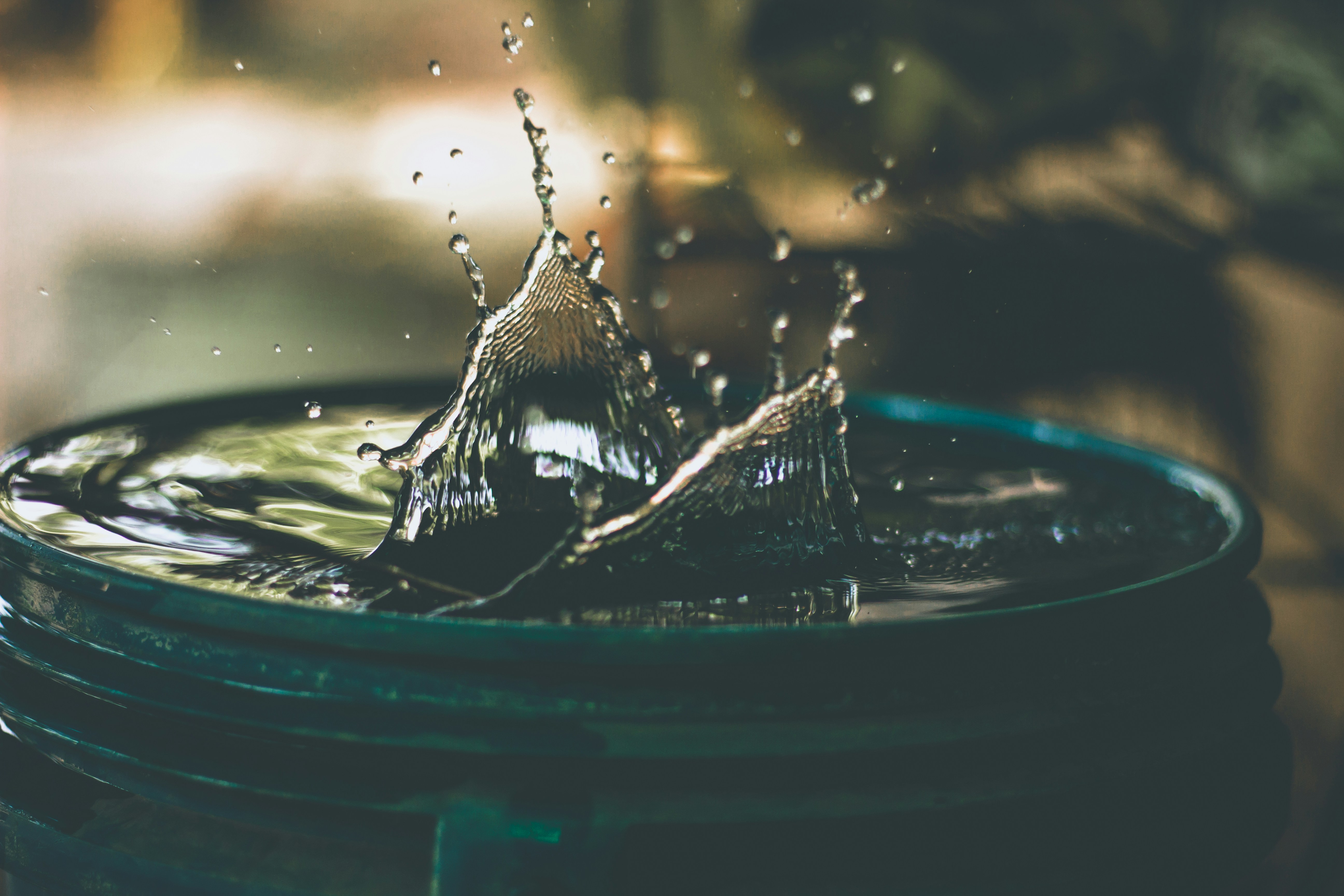 SPAN warns unchecked data centre growth could spark water crisis