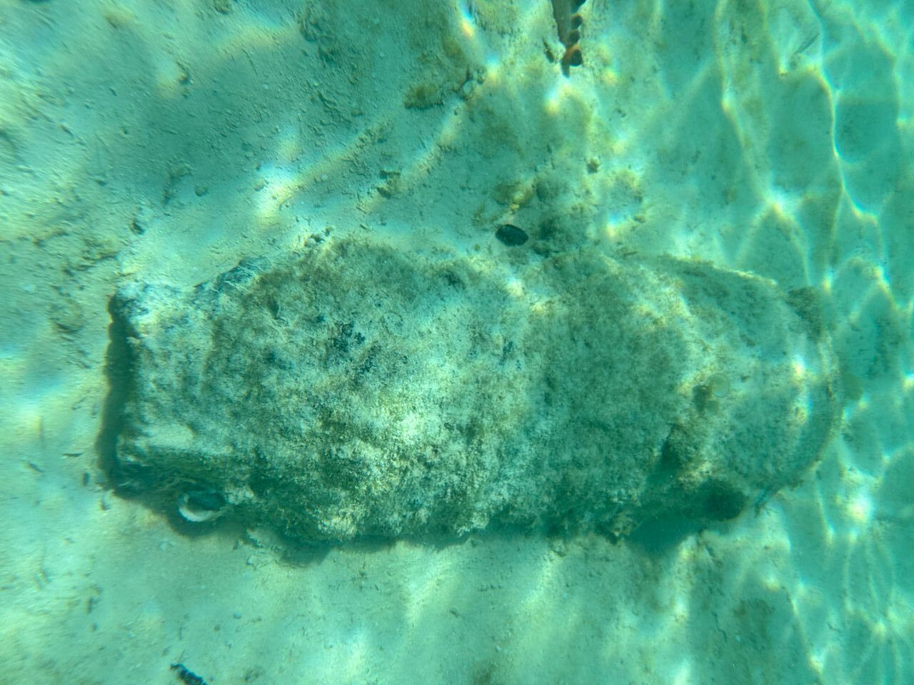 வெடிகுண்டு என சந்தேகிக்கப்படும் பொருள் கண்டுபிடிப்பு- பூலாவ் சிபுவான் துணை மின்நிலையம் மூடப்பட்டது