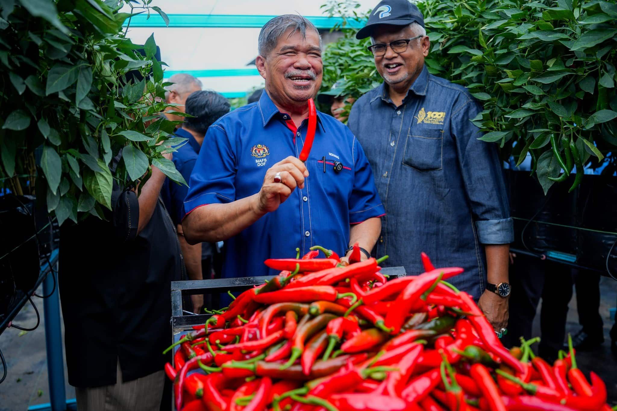 吉打“两年五季稻米种植”计划  农长：首相最迟2月推介
