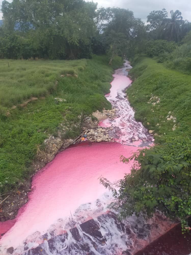 冷岳河域昨现500米粉红流 LUAS立即行动促厂家善后