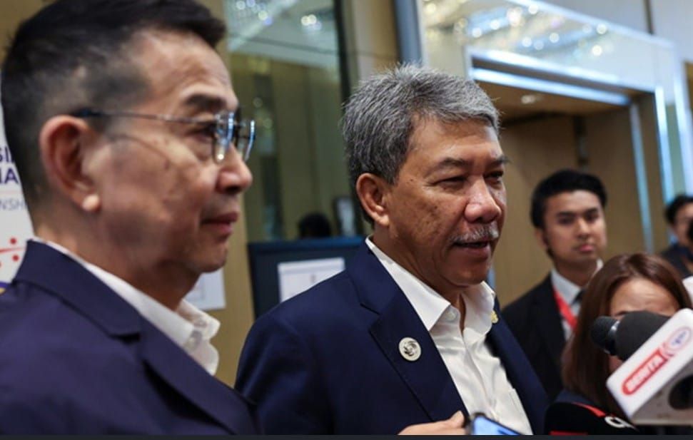 马泰外长：合作对解决任何区域问题至关重要