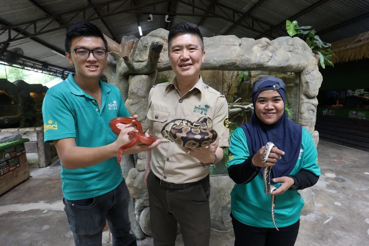 【灵蛇献瑞】20条“萌”蛇来拜年 蛇年新体验等你来探秘