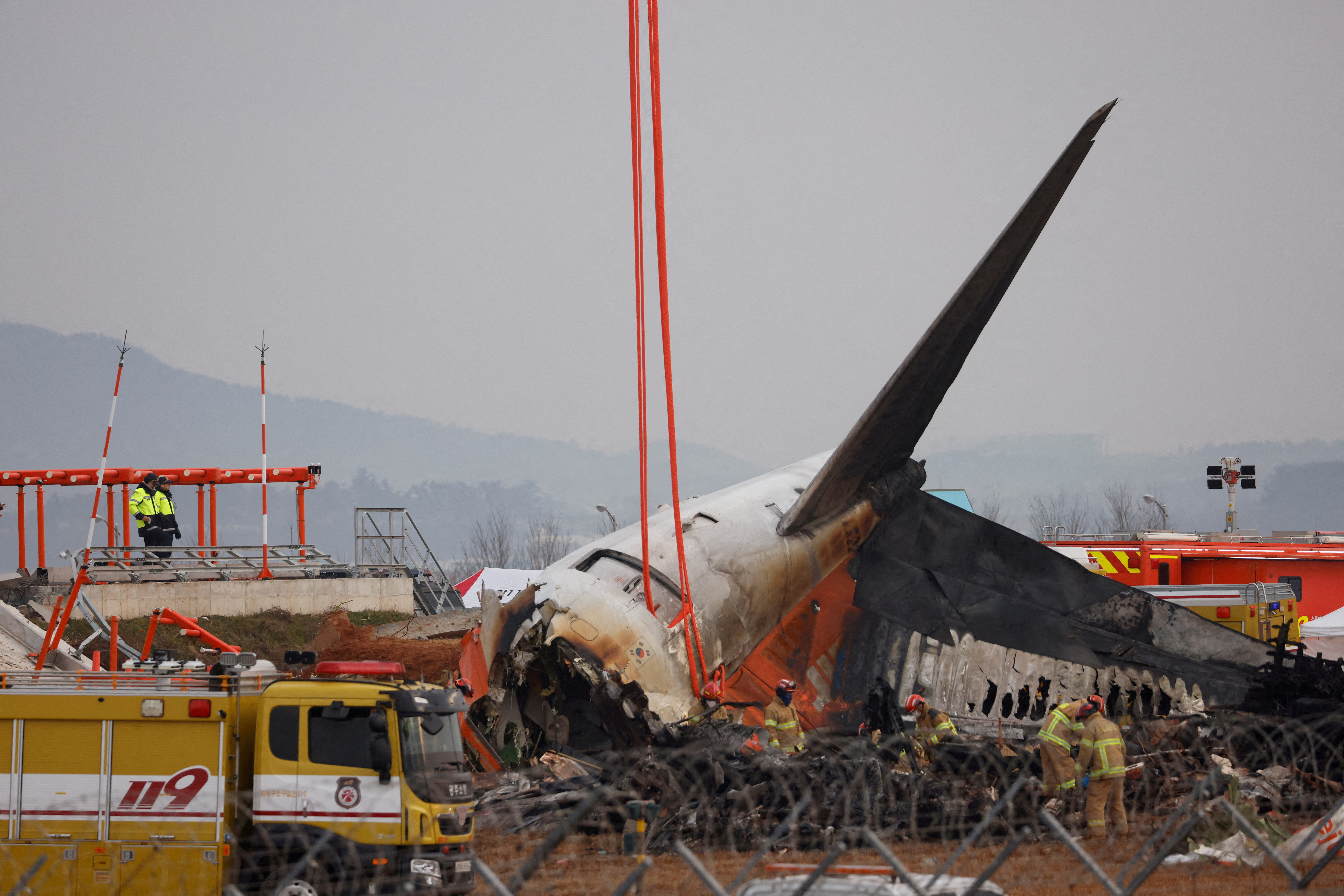 Bird feathers, blood found in both engines of crashed Jeju Air jet