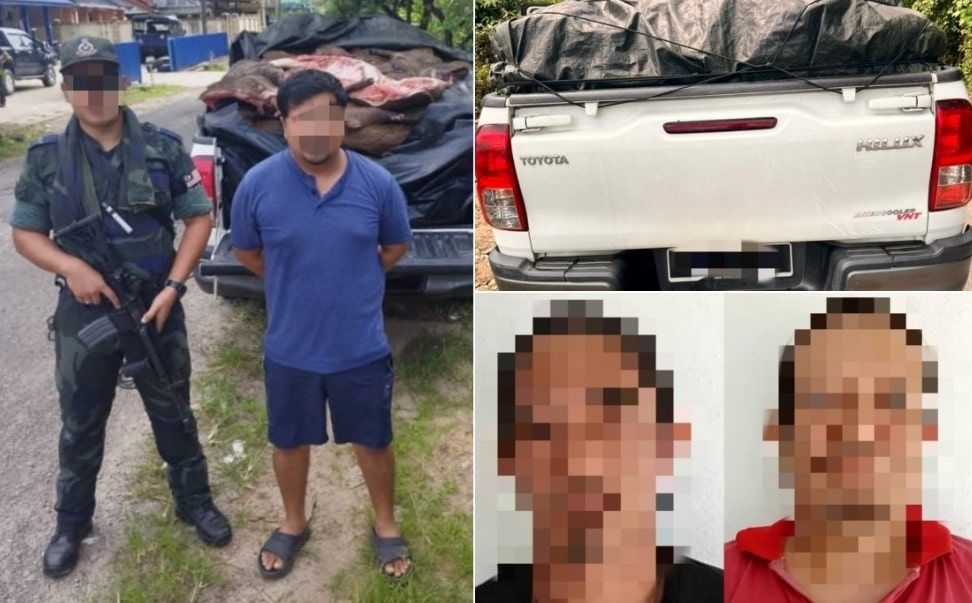 3男子疑走私2000公斤猪肉被捕