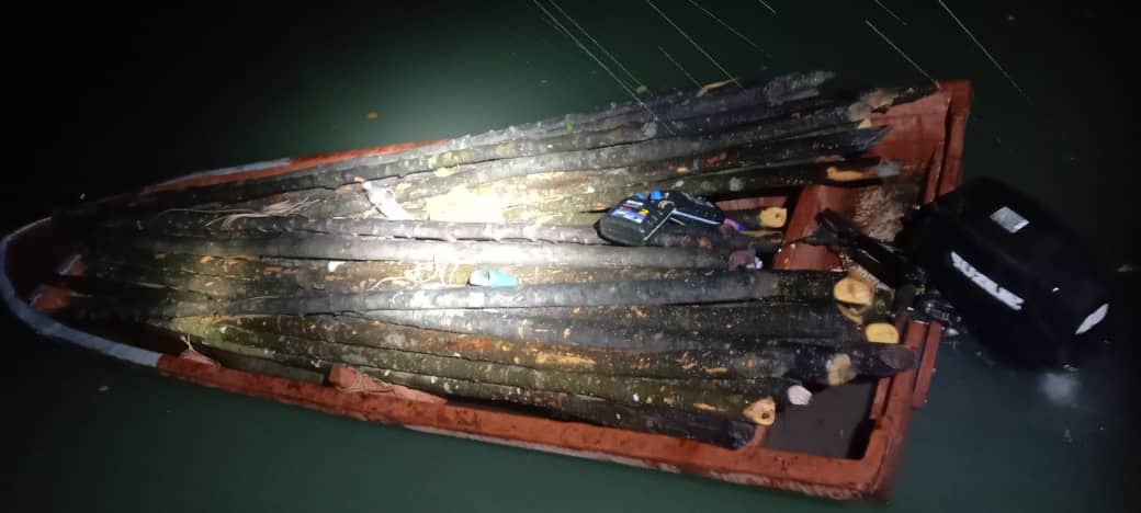 Maritim Selangor gagalkan cubaan seludup 50 batang kayu bakau