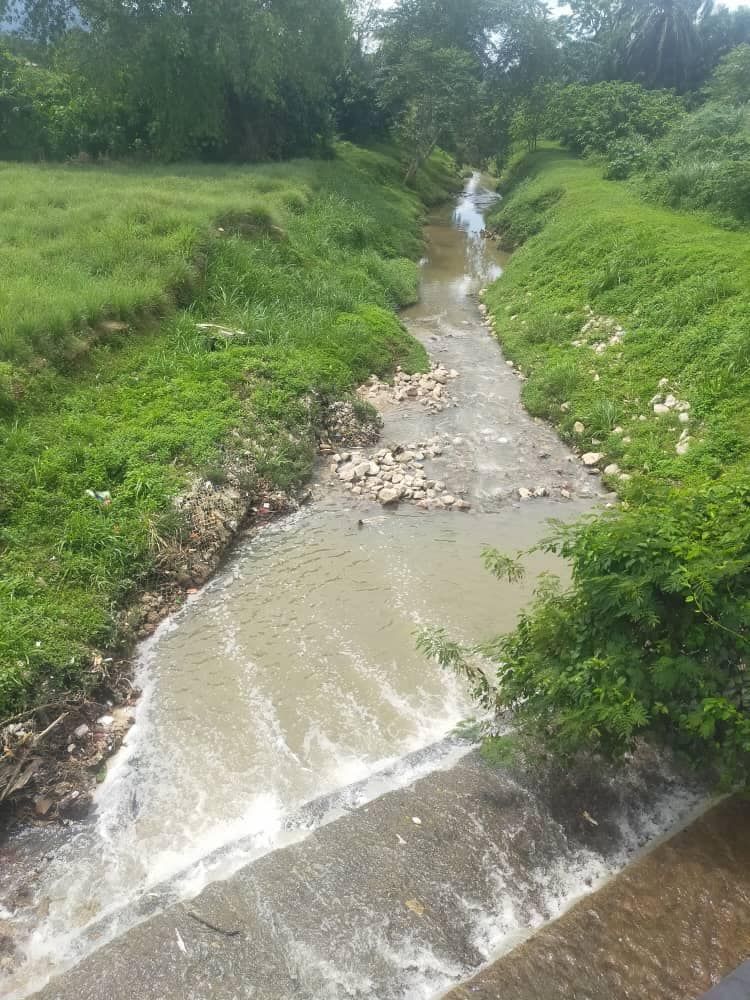 粉红流附近河域气味状况正常  嘉玛丽雅：执法机构鉴定来源对付