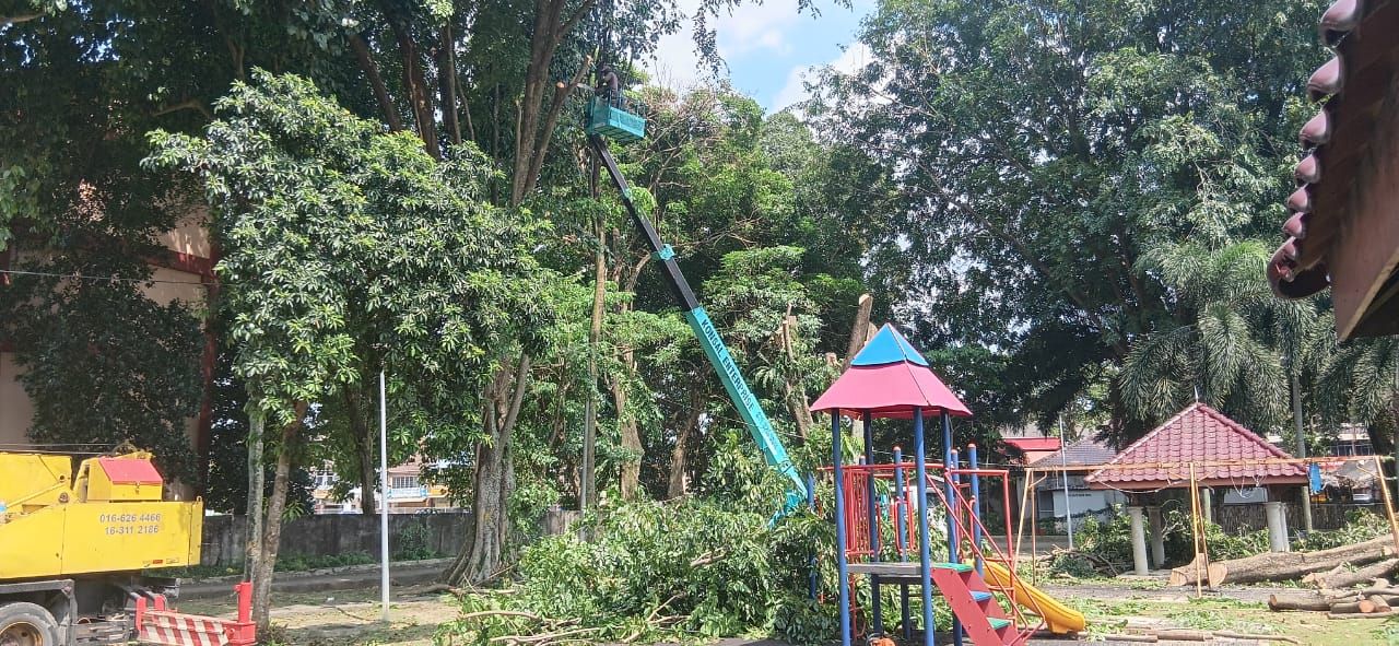 巴生市厅委承包商4月起砍树  处理高风险树木保民众安全