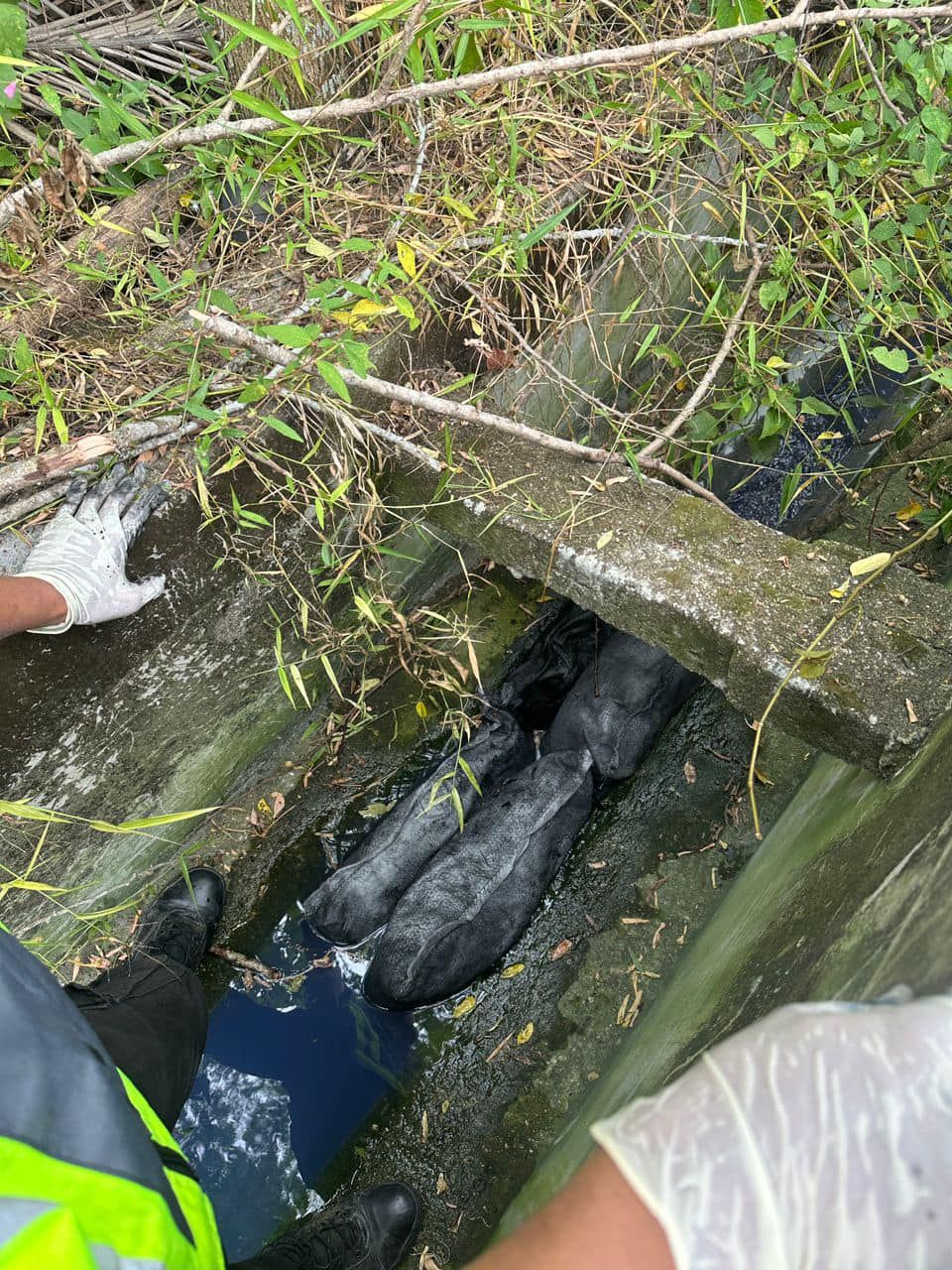 追查卡布河蓝色水流源头 雪水务管理局迅速应对阻污染扩散