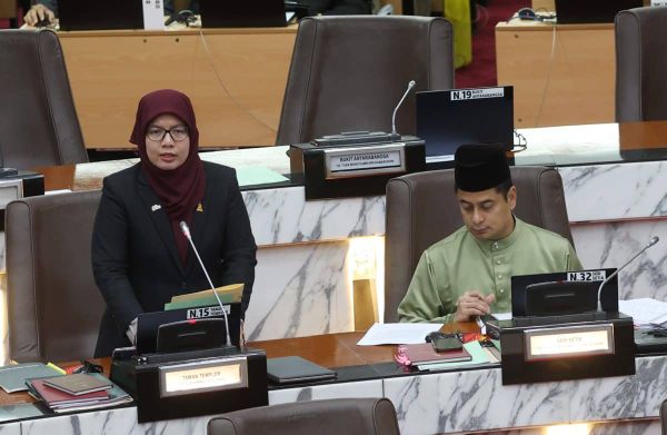 【雪州议会】推出简化注册指南及补助金 谢安宝:助推托儿所合法化