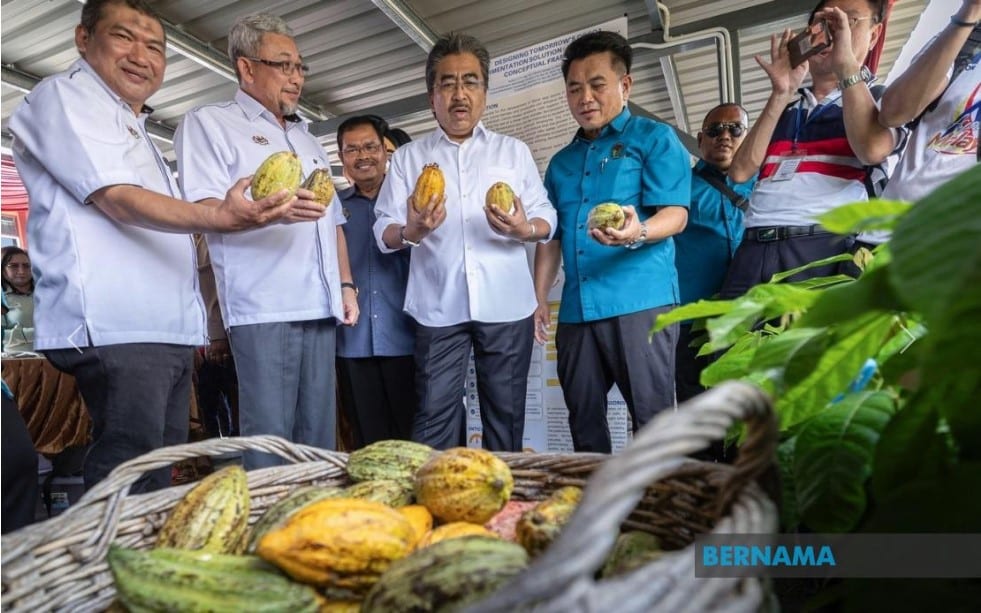 Tingkat keluaran koko negara, pemain industri, pekebun kecil disaran sertai